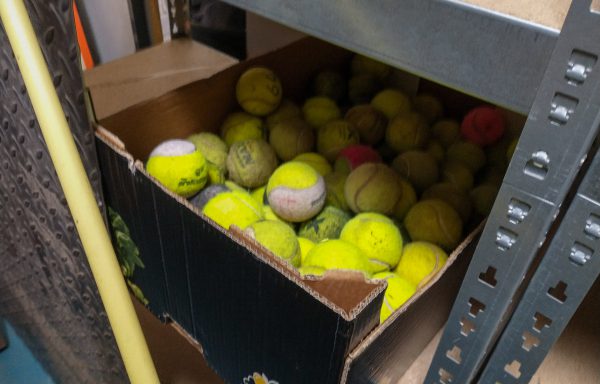 Tennisballen