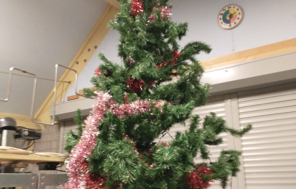 Kerstboom