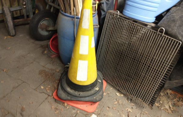 Pion