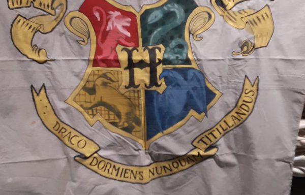 Hogwarts Vlag – Harry Potter
