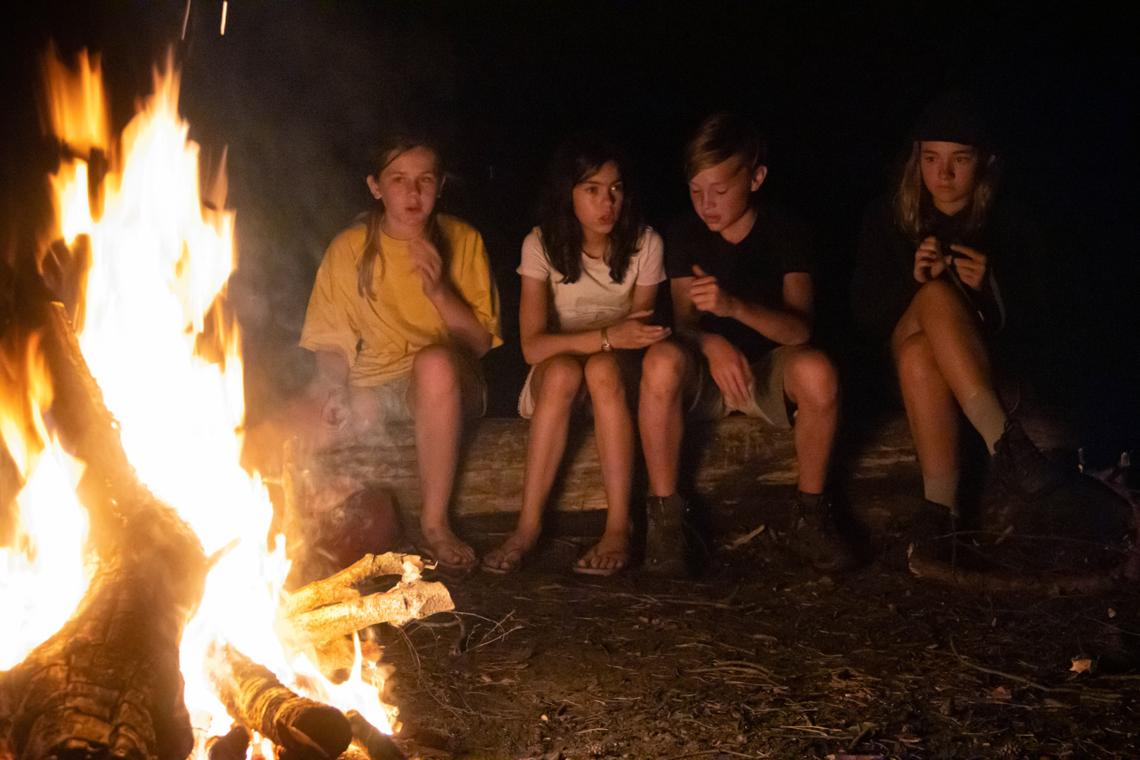 Scouts (4)