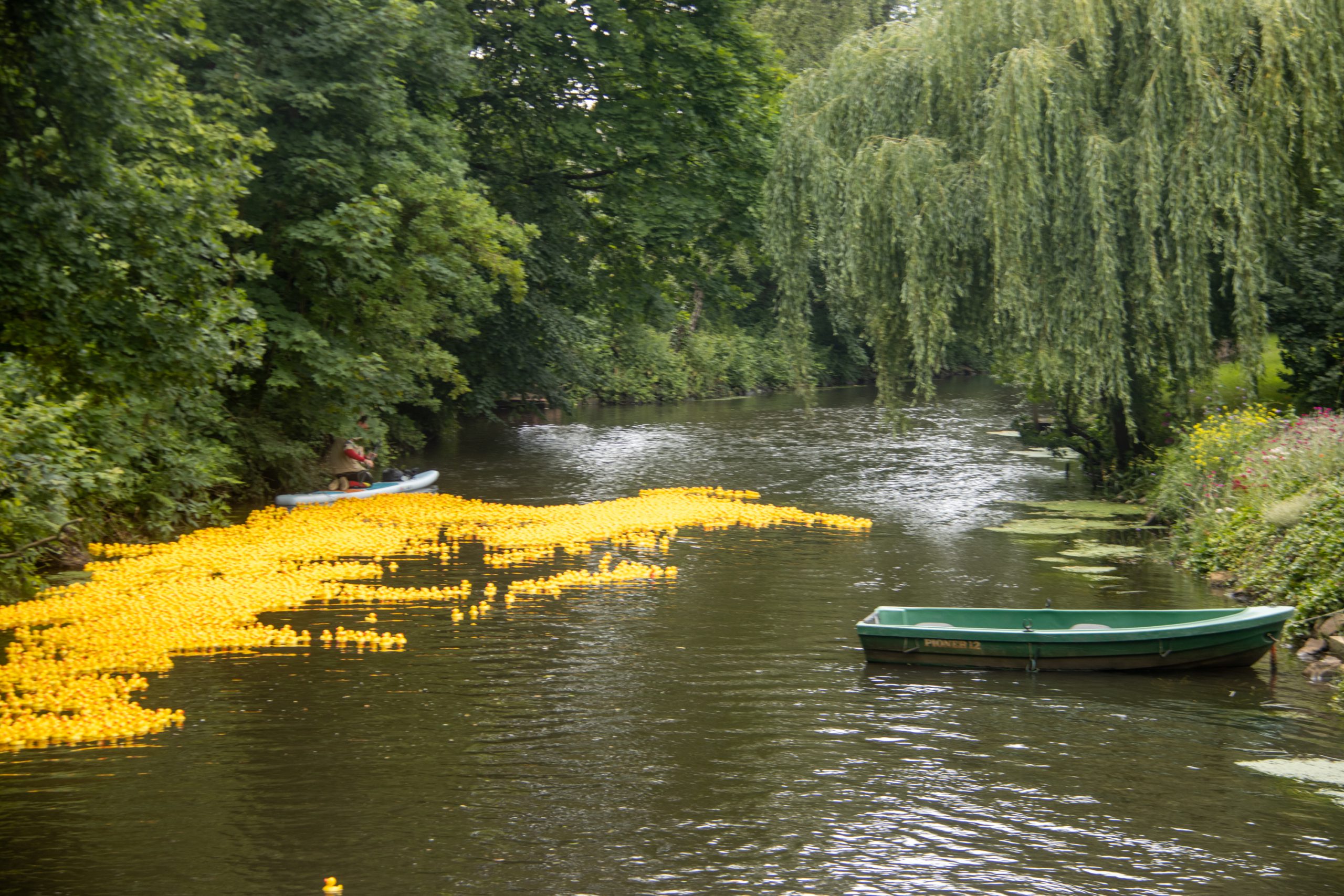 Badeendenrace_lq-112
