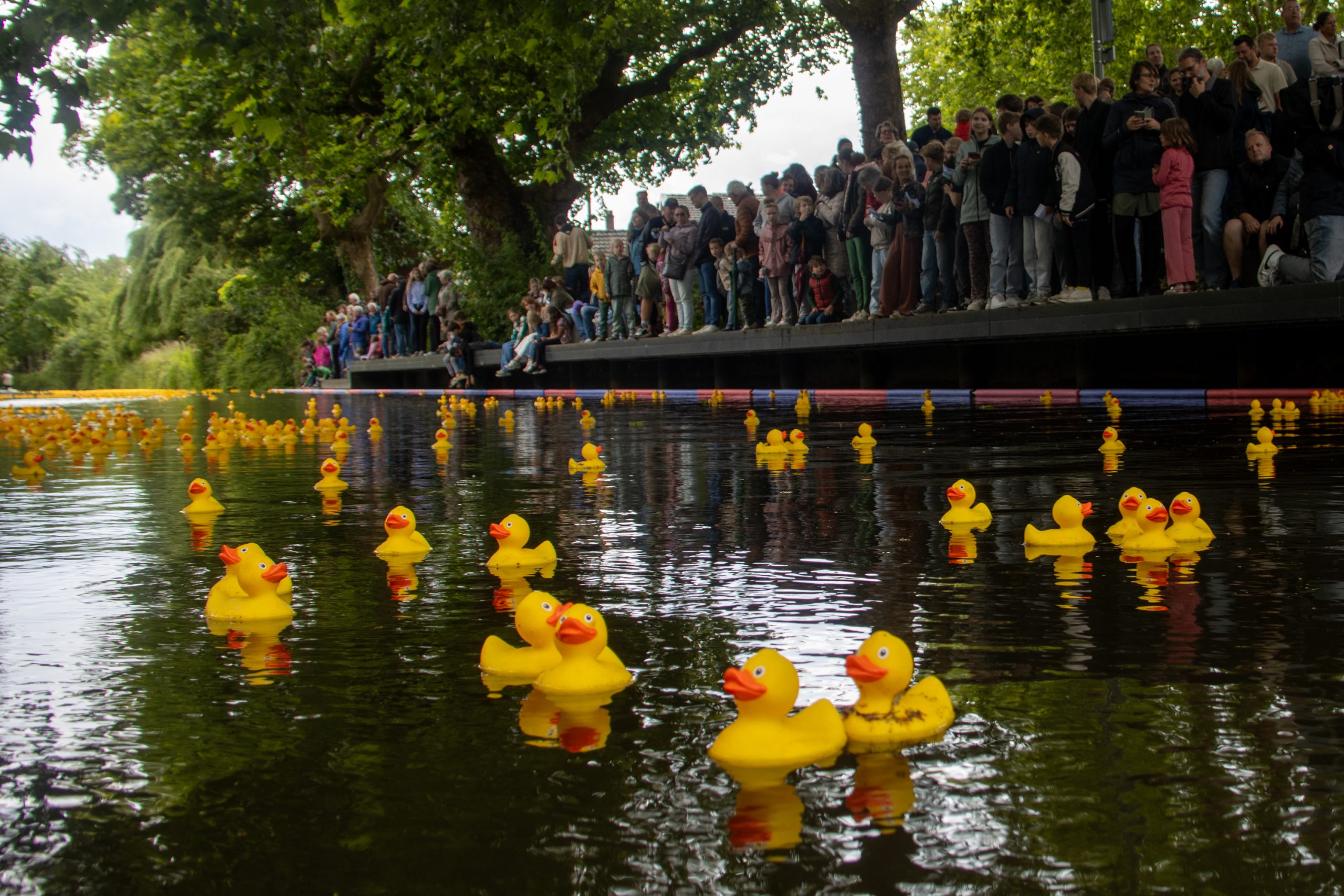 Badeendenrace_lq-129